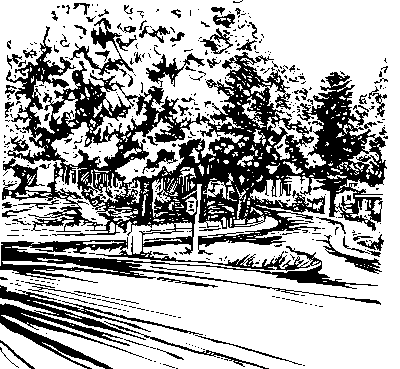 Division Street Green
