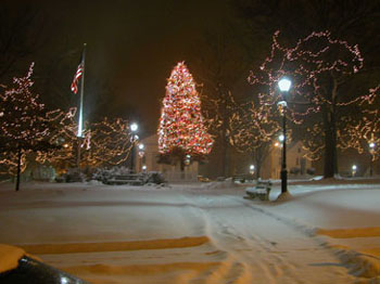 snowy_green_JJW_020