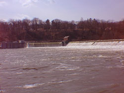 wpe4.jpg (9055 bytes)