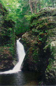 indianwellfalls.jpg (19932 bytes)