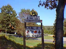 Jones Tree Farm